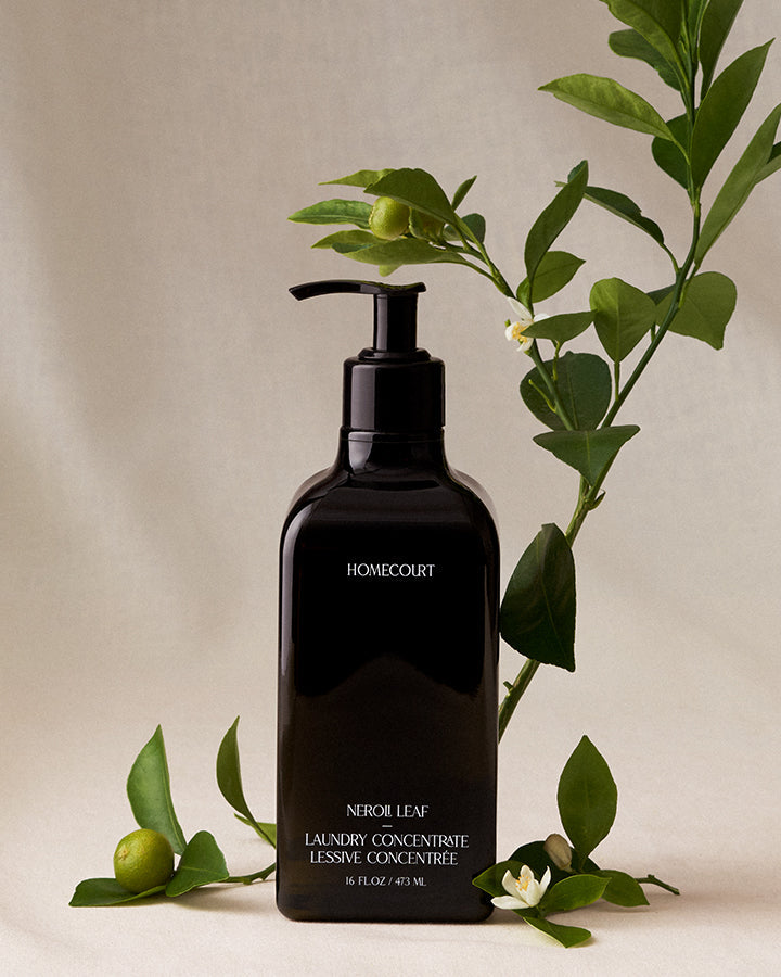 Laundry Concentrate - Nestriora