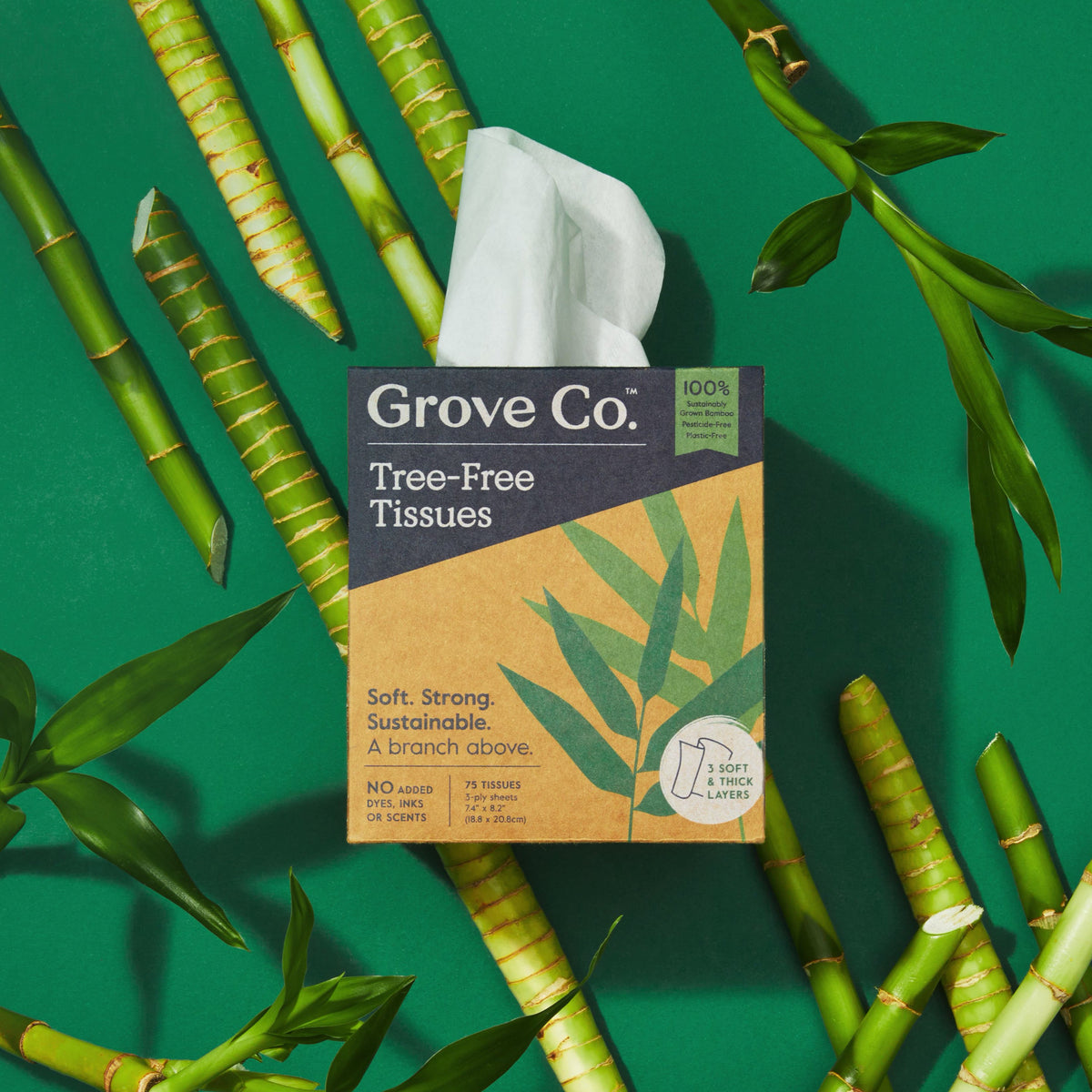 3-Ply Bamboo Facial Tissues (75 sheets per box)