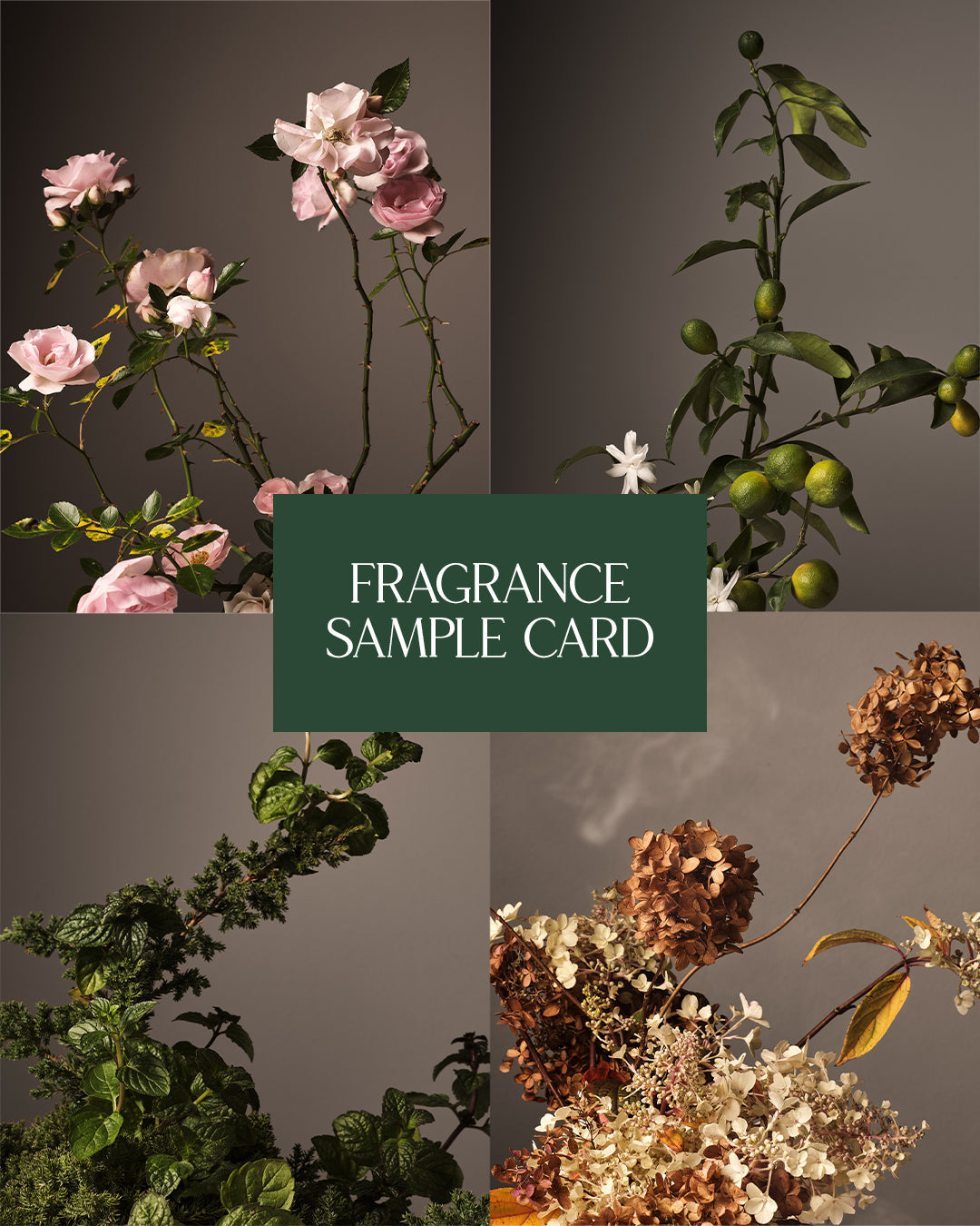 Fragrance Sample Card - Nestriora