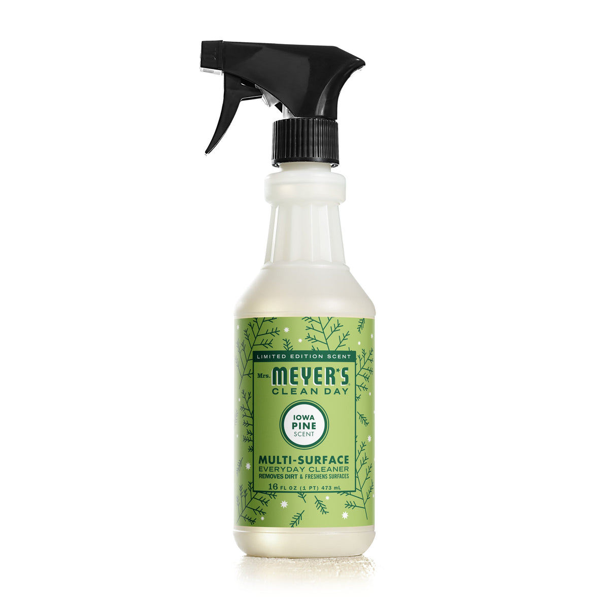 Multi-Surface Cleaner