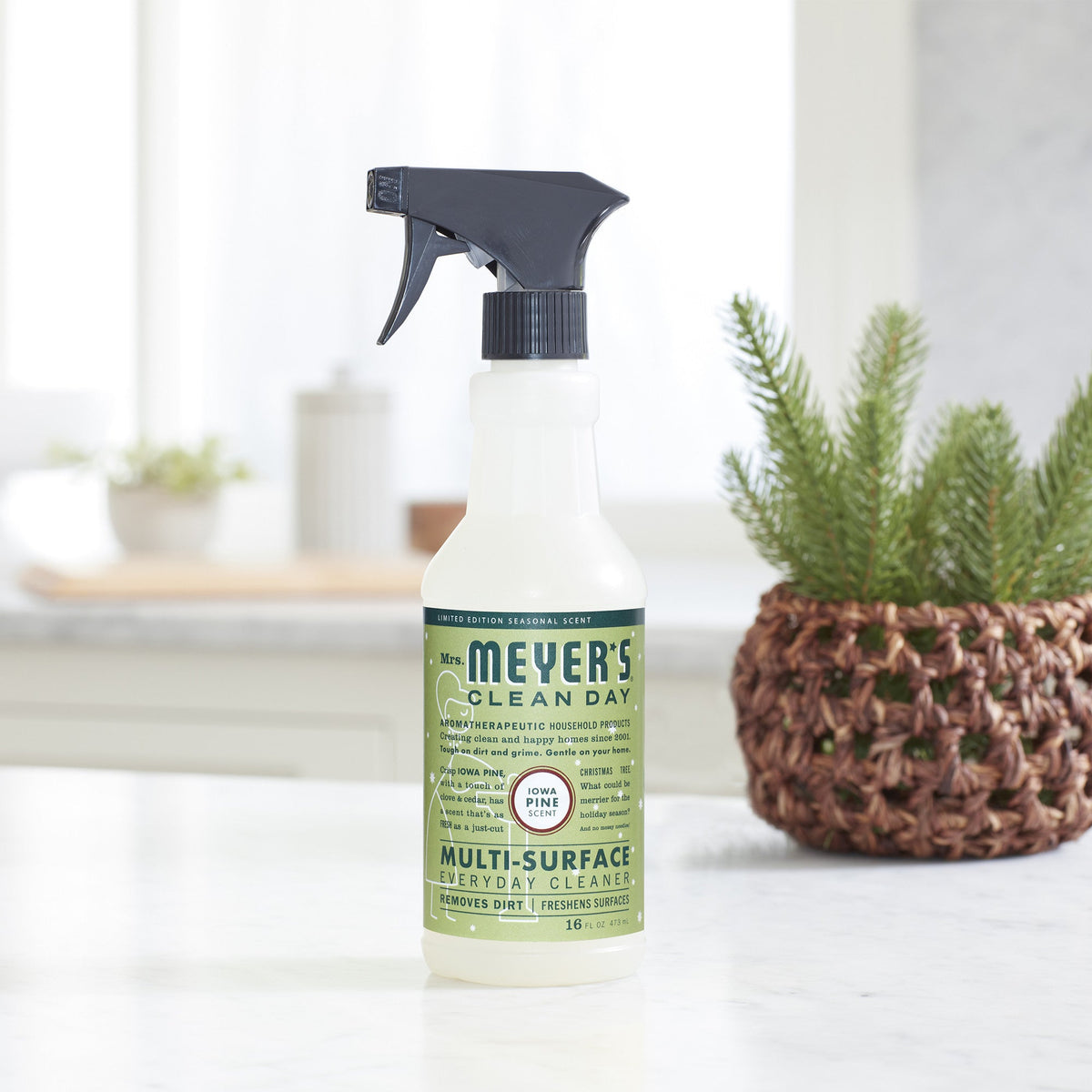 Multi-Surface Cleaner