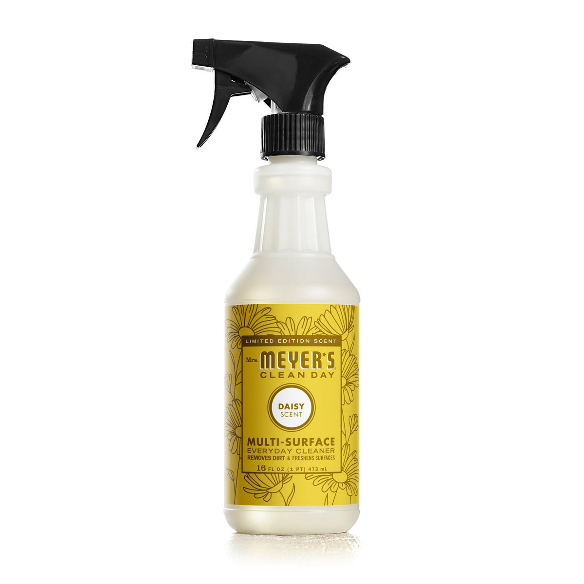 Multi-Surface Cleaner
