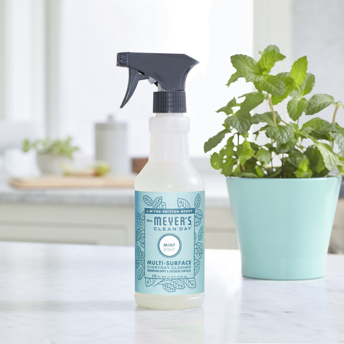 Multi-Surface Cleaner