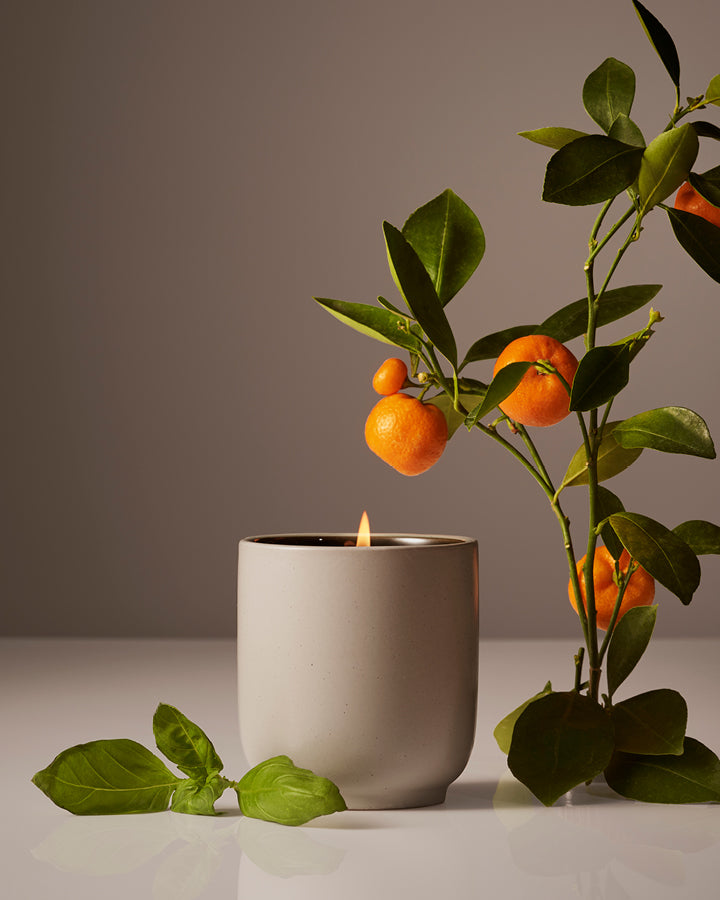 Candle - Nestriora