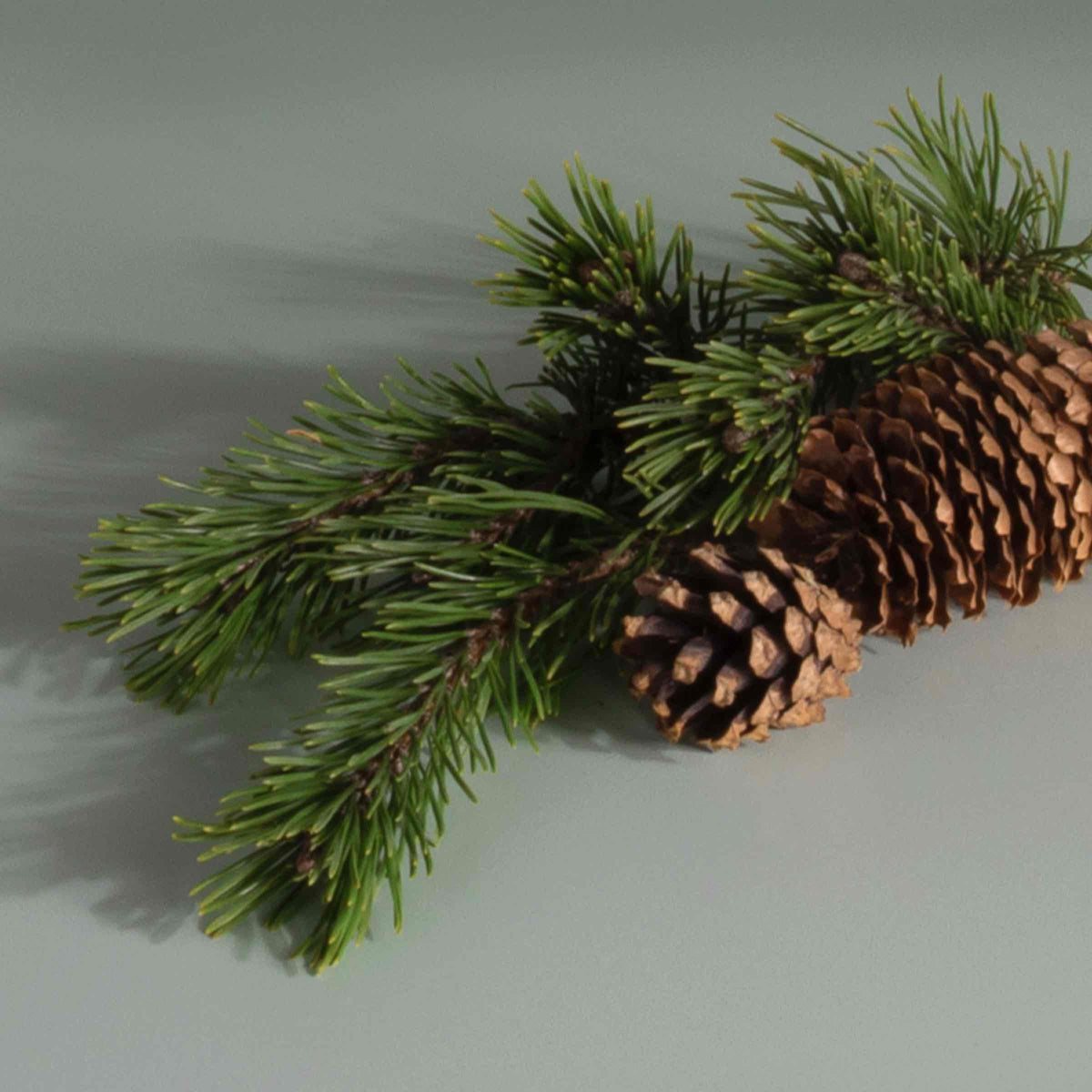 Plug-in Air Freshener Refill