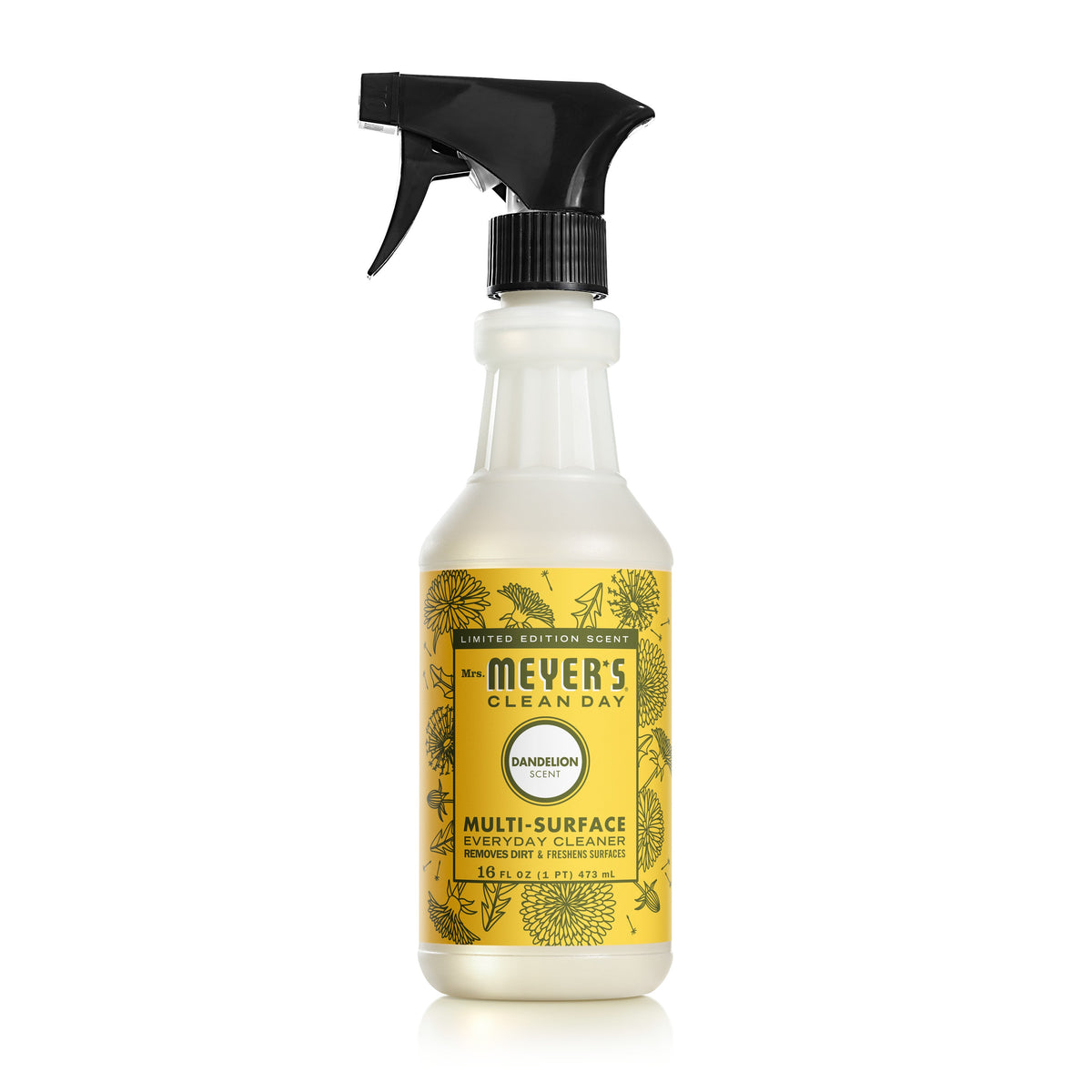 Multi-Surface Cleaner