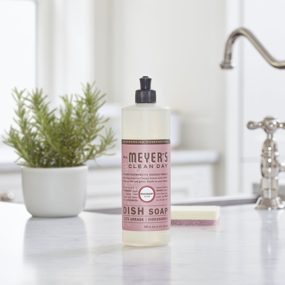 Dish Soap