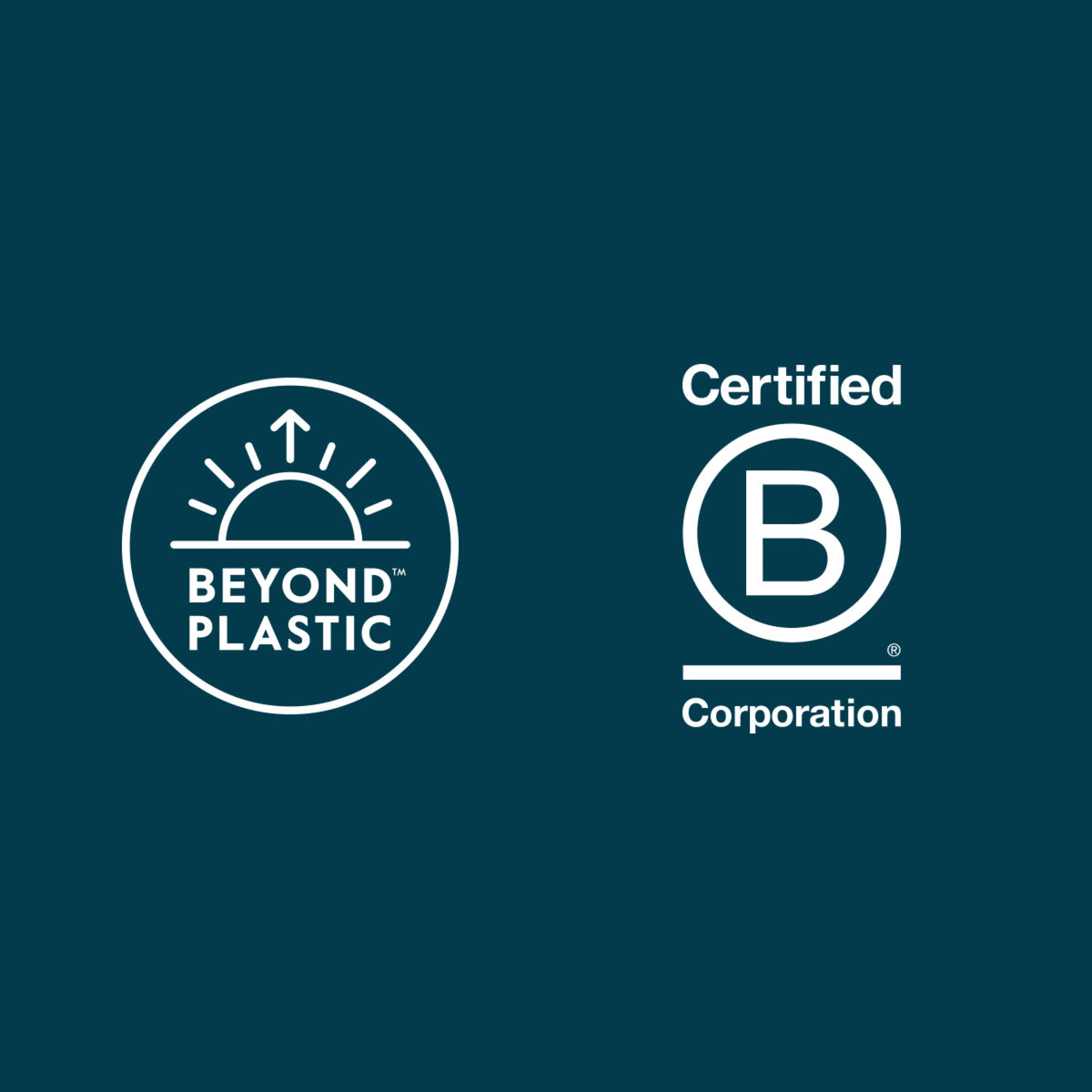 Bamboo Compostable Kitchen Wipes