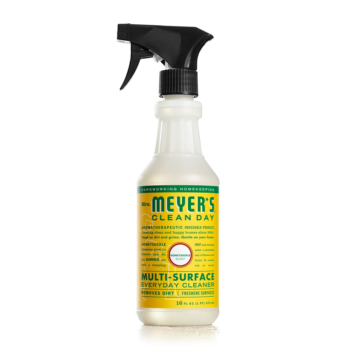 Multi-Surface Cleaner