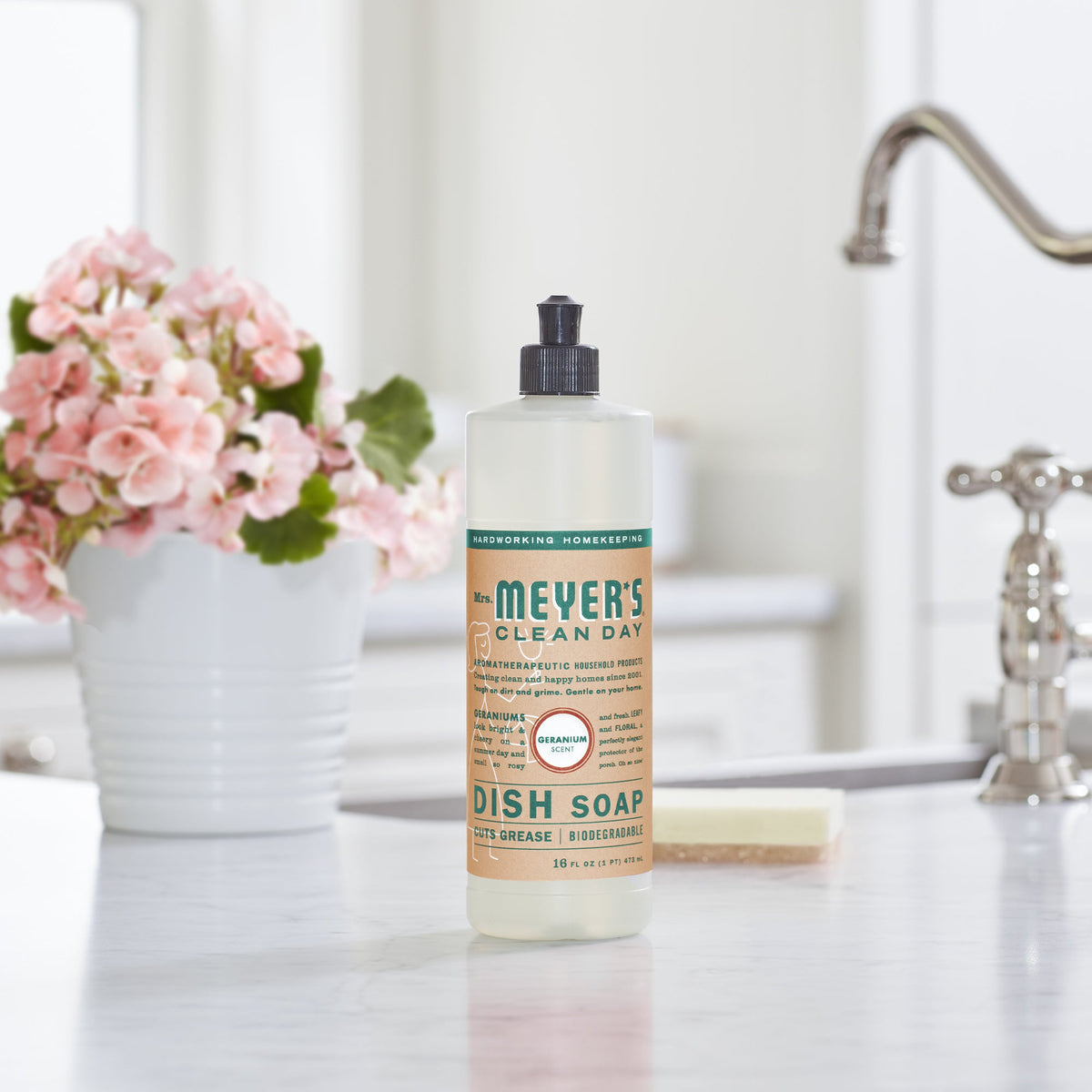 Dish Soap