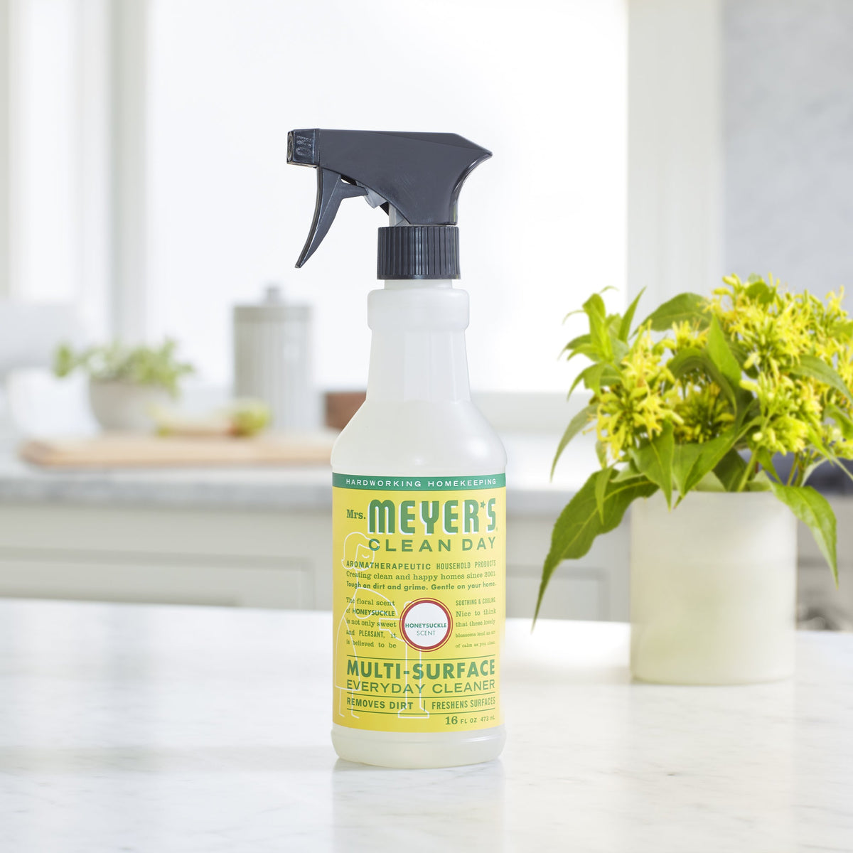 Multi-Surface Cleaner