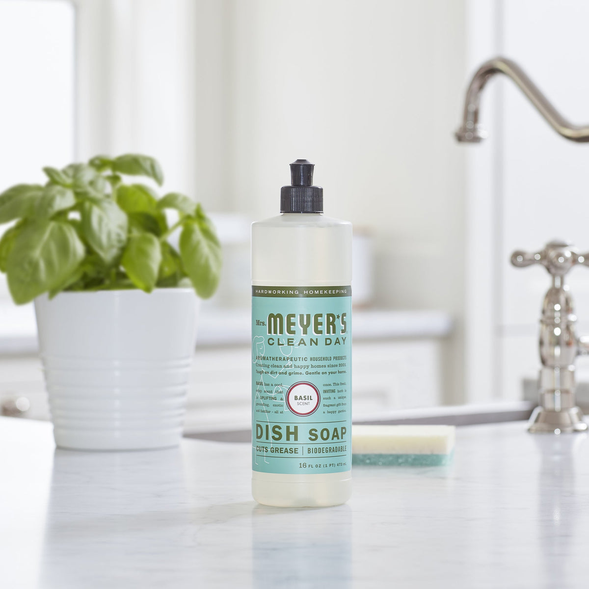 Dish Soap