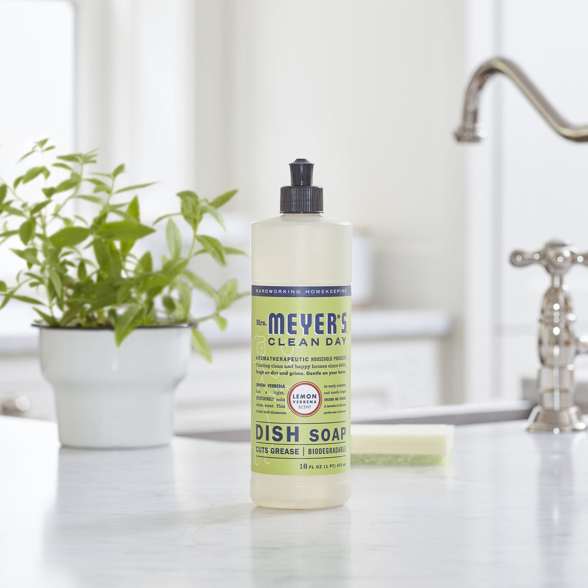 Dish Soap