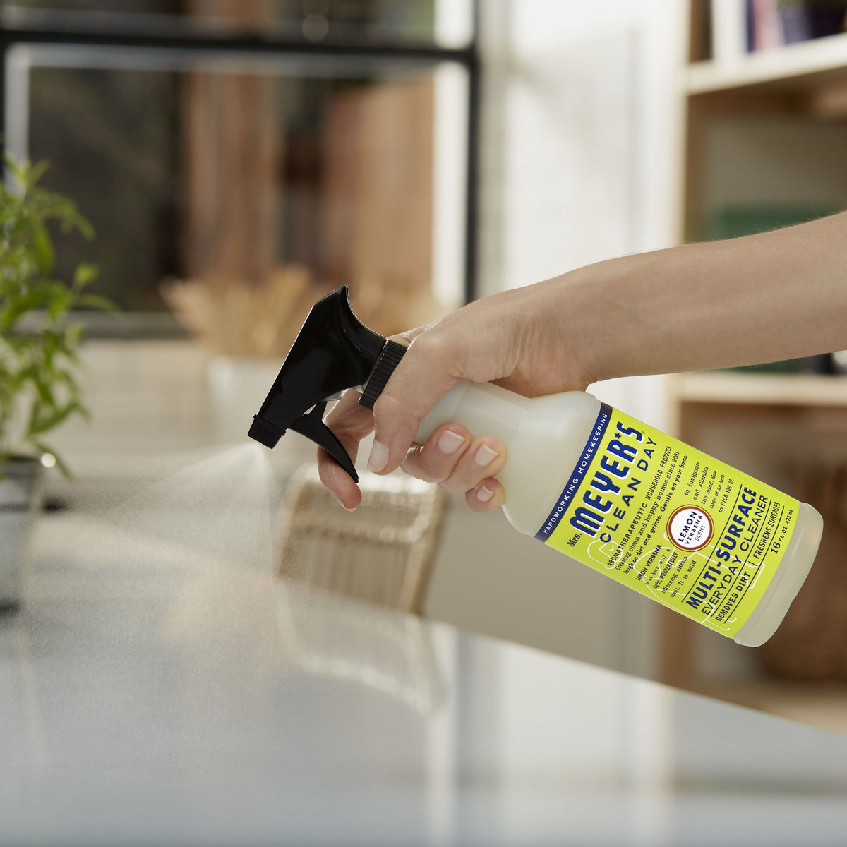 Multi-Surface Cleaner
