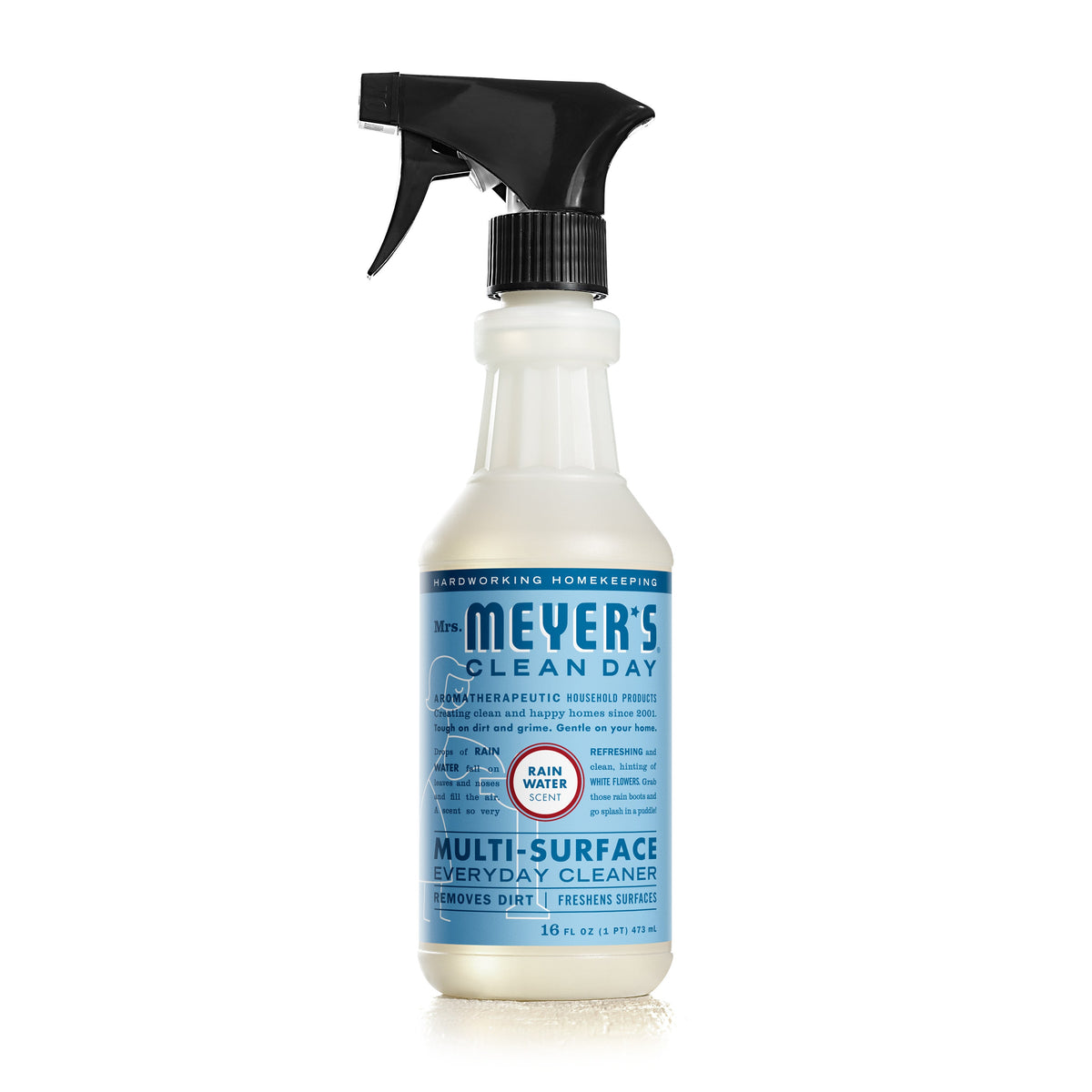 Multi-Surface Cleaner