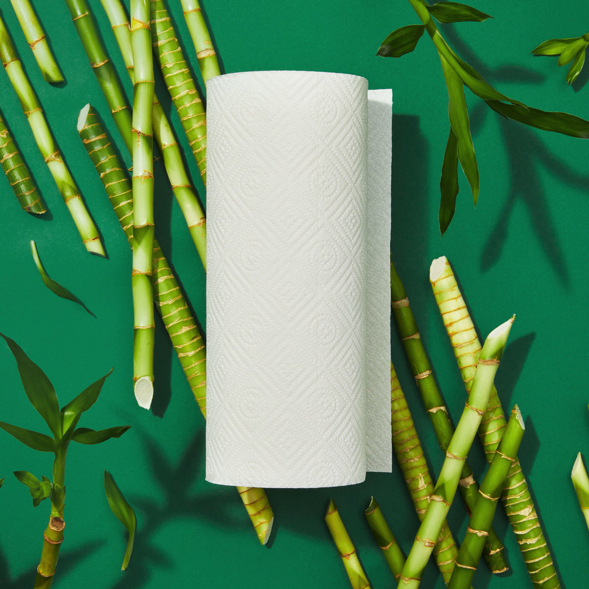 2-Ply Bamboo Paper Towels (140 sheets per roll)