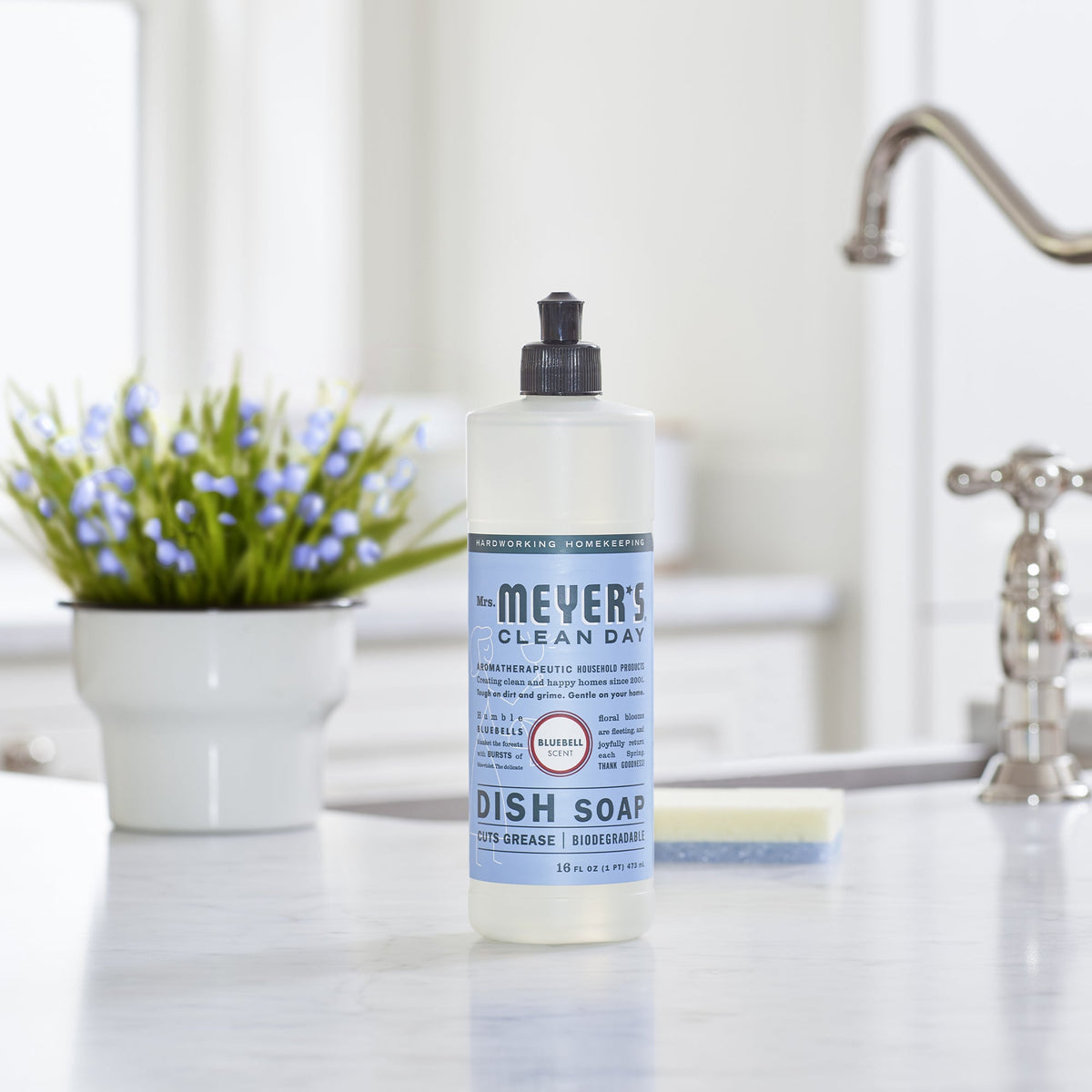 Dish Soap