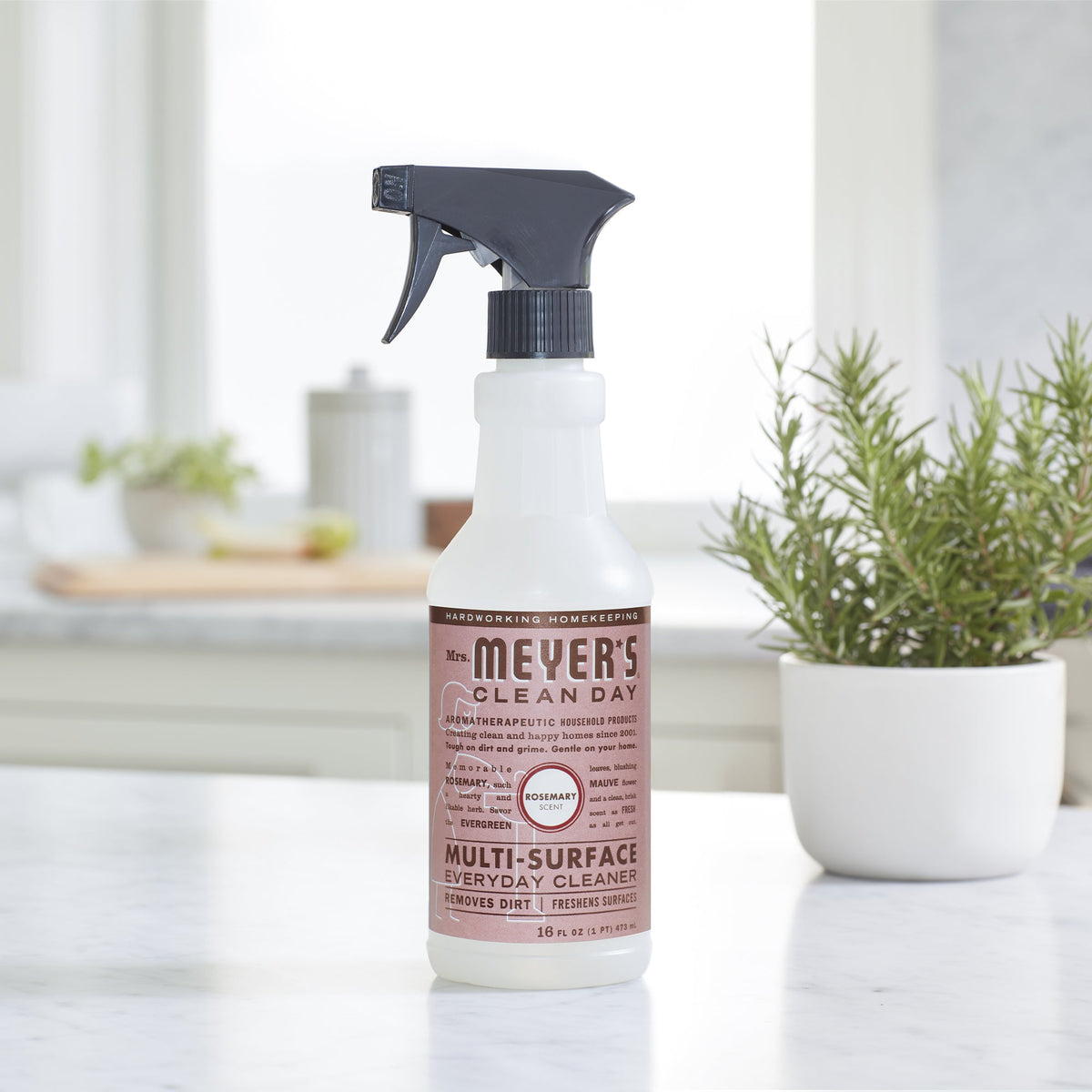 Multi-Surface Cleaner