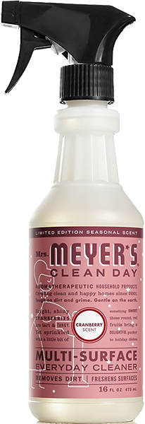 Multi-Surface Cleaner