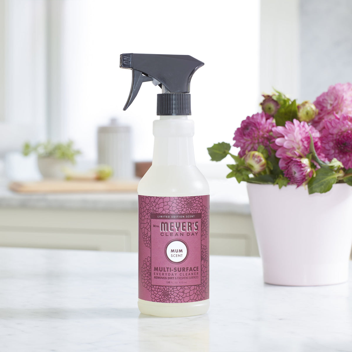 Multi-Surface Cleaner