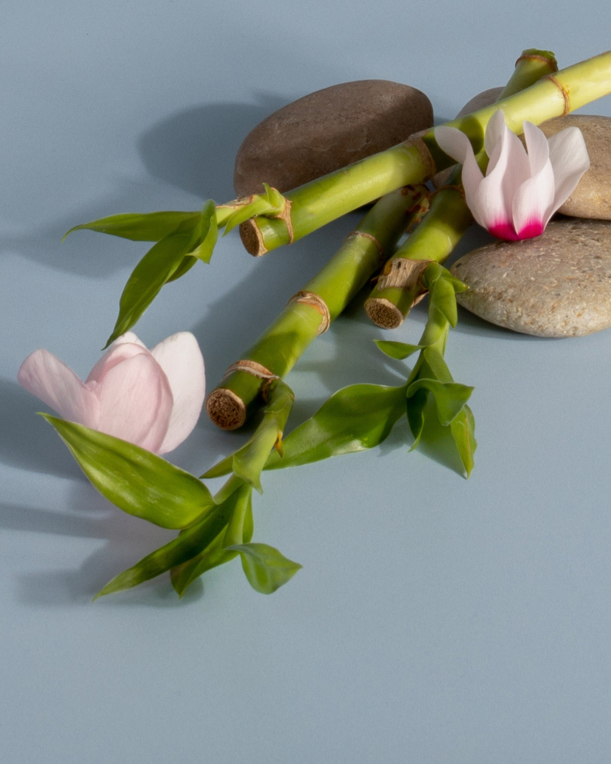 Plug-in Air Freshener Refill