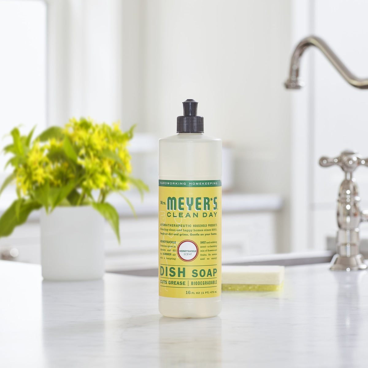 Dish Soap