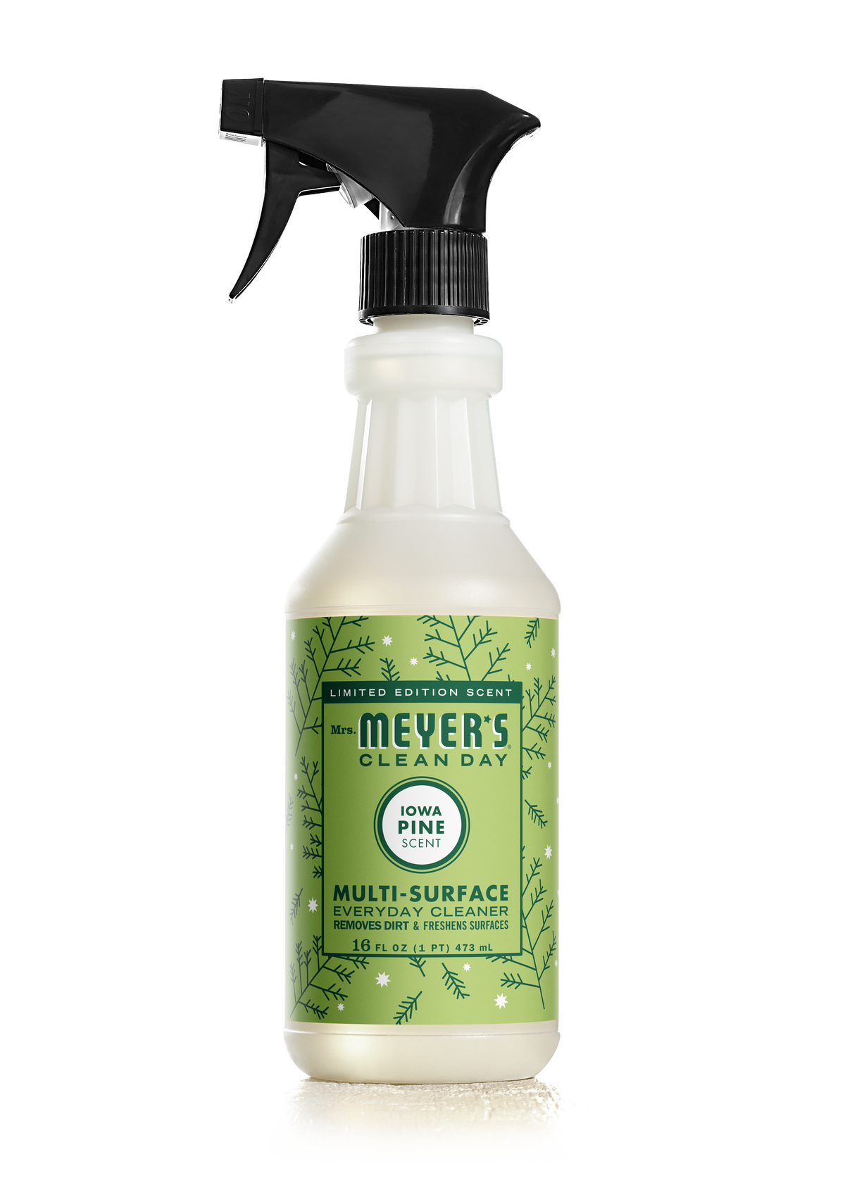 Multi-Surface Cleaner